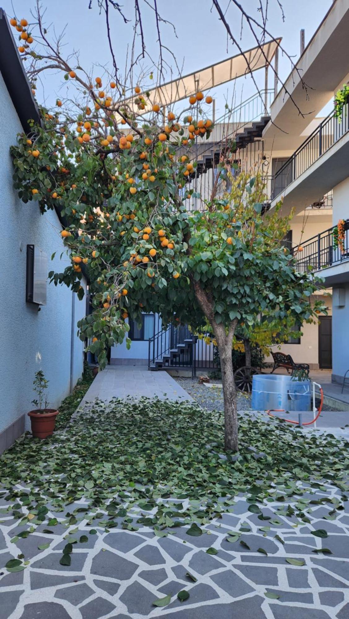 Khorgo Hotel Gori Exterior photo